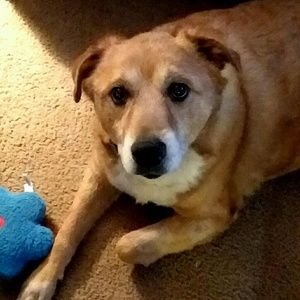 Meet your Posher, Cynthia